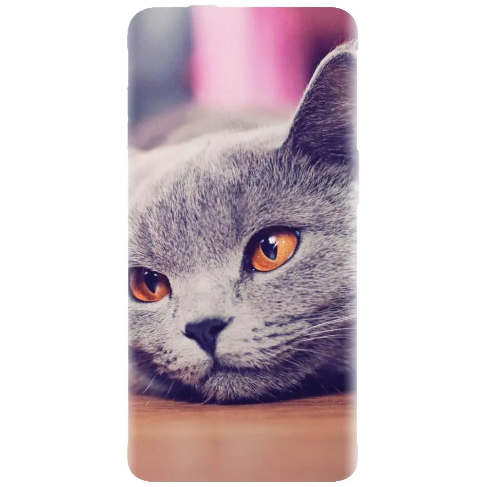 Husa din silicon - model British Shorthair Cat